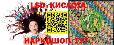 apvp Кингисепп