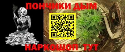 apvp Кингисепп