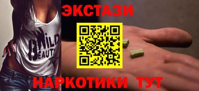 apvp Кингисепп