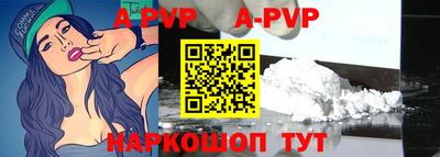 apvp Кингисепп