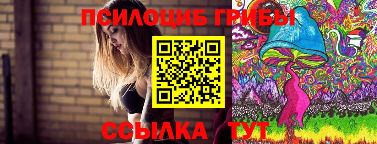 что такое наркотик  Галлюциногенные грибы прущие грибы  Котлас  Вход с VPN  Галлюциногенные грибы ЛСД 