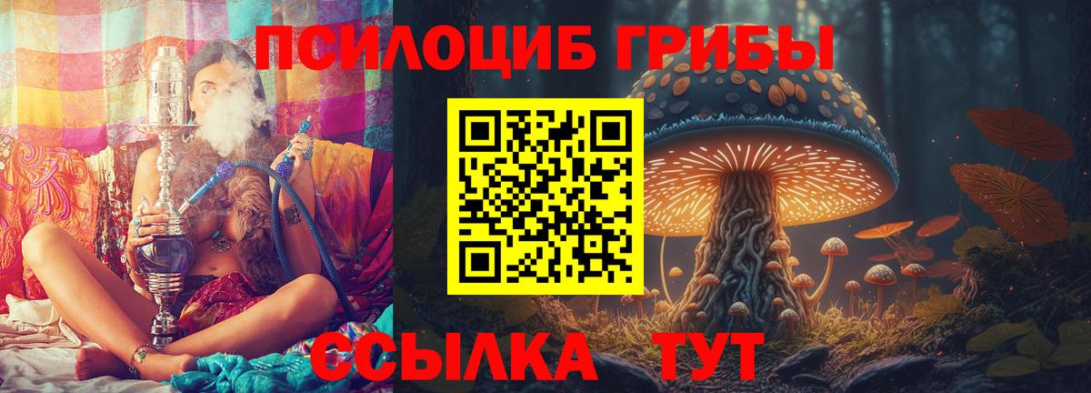 Галлюциногенные грибы ЛСД Котлас